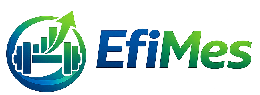 EfiMes logo